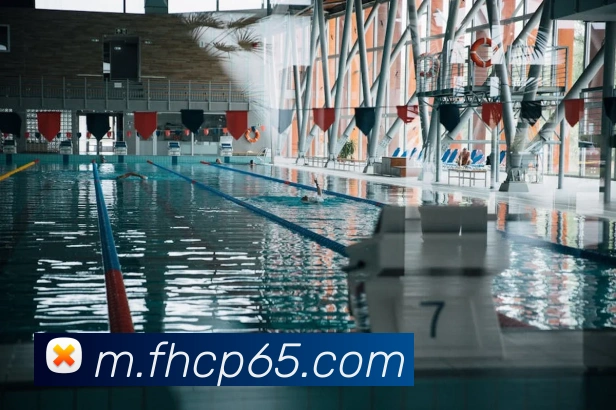 企业概况